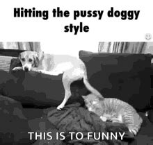 doggystyle gifs|Doggystyle Porn GIFs .